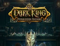 Dark King: Forbidden Riches logo
