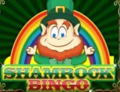 Shamrock Bingo logo