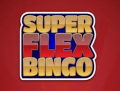 Super flex bingo logo