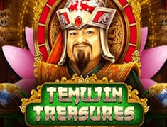 Temujin Treasures logo
