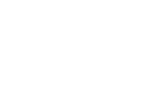 Salsa Technology logo