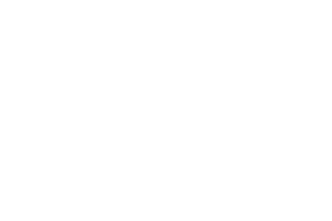 Snowborn games logo
