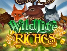 Wildlife Riches logo