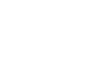 Felix Gaming logo