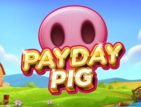 Payday Pig