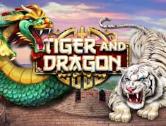 Tiger and Dragon logo