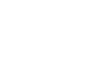 Max Win Gaming logo