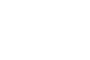 Hammertime logo