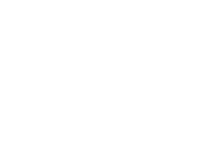 Play’n Go logo