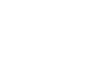 SYNOT logo